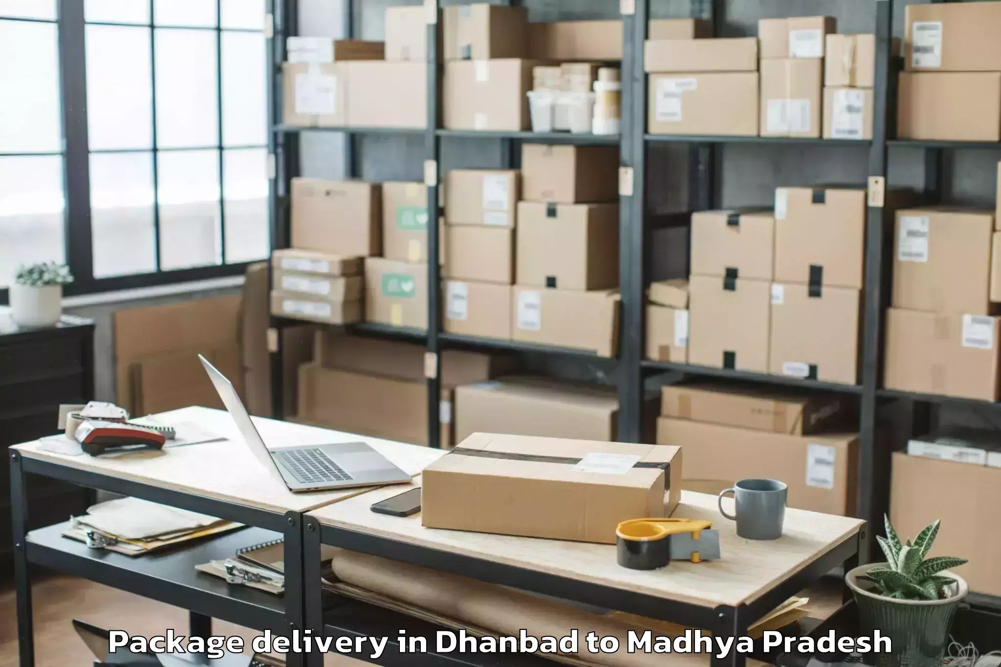 Book Your Dhanbad to Goharganj Package Delivery Today